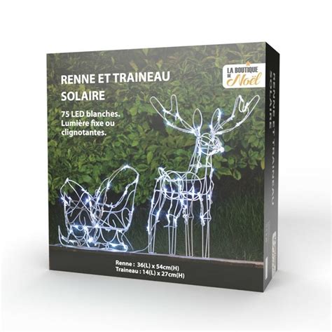 renne solaire|Société d'Astronomie de Rennes.